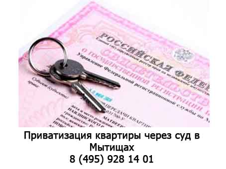 Приватизация квартиры через суд - Мытищинская юридическая консультация № 1